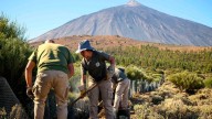 El Teide trabaja para mitigar los efectos del cambio climático