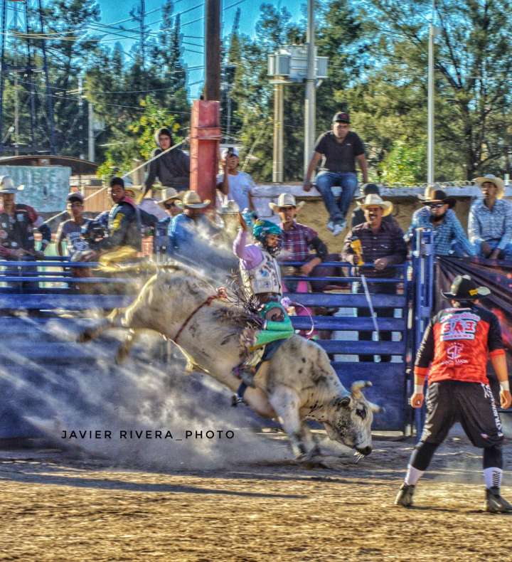 ¡Vaquero Hasta los Huesos!