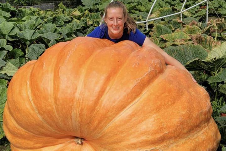 Woman Goes Viral for Growing 1,500-Pound Pumpkins (Exclusive)