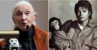 Jane Goodall Feared Michael Jackson Chimp Bubbles Was 'Abused'