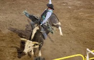 Dejó Rodeo Saltillo más de 55 mdp en derrama económica.