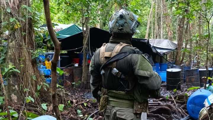 Cinco muertos del Clan del Golfo y un menor rescatado tras ofensiva militar en Abriaquí, Antioquia