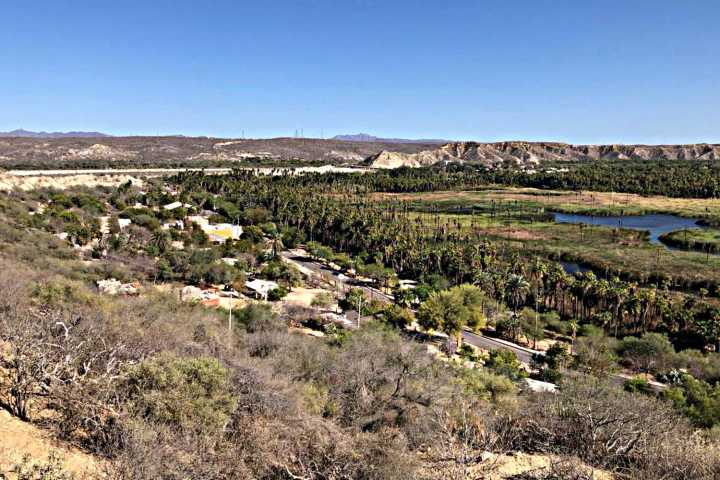 Investigadoras de la UABCS reciben beca por proyecto biocultural en el municipio de Mulegé 