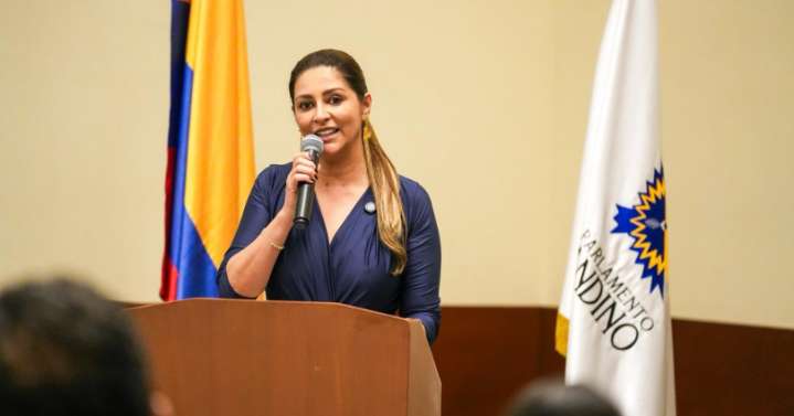 El Parlamento Andino se une a la protección de la cordillera de Los Andes