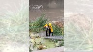 Firefighters rescue stranded pup from rising floodwaters