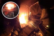 Incendio en refugio animal de La Peñita de Jaltemba cobra la vida de decenas de mascotas