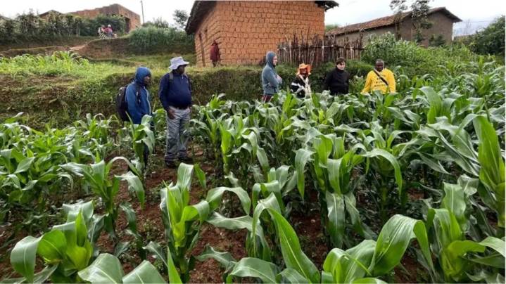 Cómo impacta el proceso electoral en el agro: “El productor necesita saber qué contexto económico va a tener”