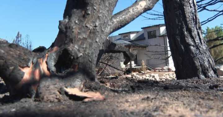 Flash flood warning issued for Forsyth Fire burn scar
