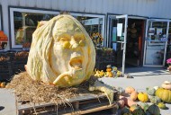 Ozzy Osbourne pumpkin, clocking in at 500 pounds, on display at Indiana garden shop
