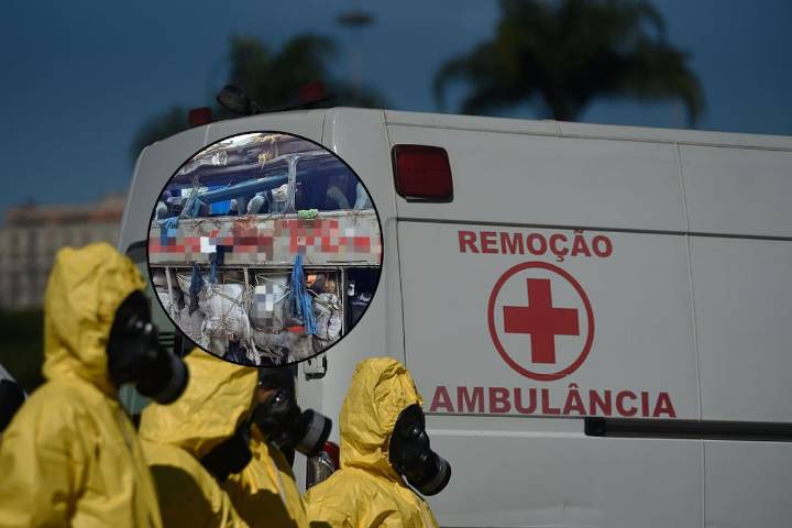 Tragedia en Brasil: al menos 15 muertos deja accidente en bus