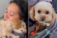Senior Dog Makes Miraculous Recovery Minutes Before Being Euthanized (Exclusive)