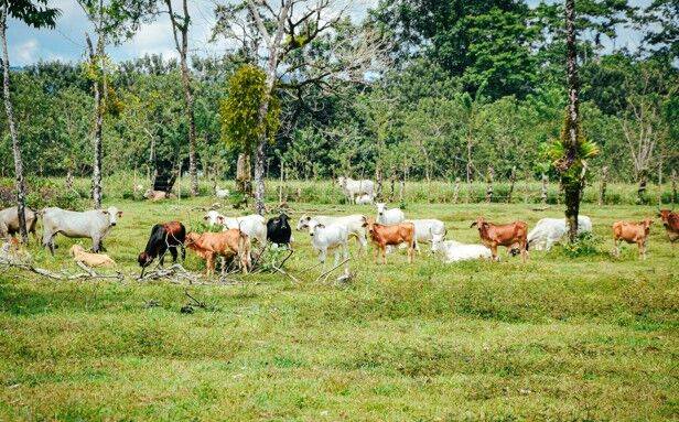 Kamrup potters oppose move to de-reserve village grazing land for logistic park