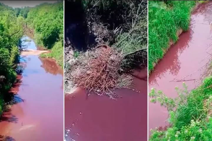 Presentaron una denuncia penal por contaminación en la cuenca del río Paraná