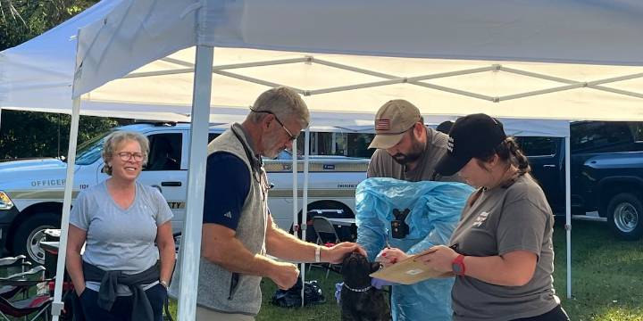 Over 50 animals rescued from ‘nightmare’ home in Georgia; 2 arrested