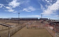 Hace crisis cierre de frontera al ganado en Santa Teresa