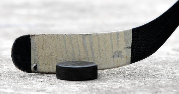Players, coaches from Stoney Creek hockey team sanctioned