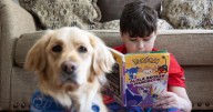 Chickahominy family, Hanover schools in service dog dispute