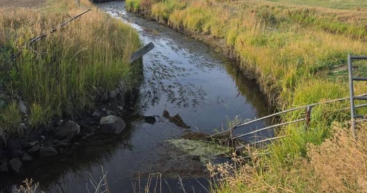 Judge says case alleging irrigation impacts to bull trout has merit