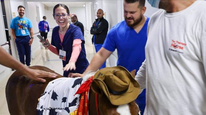 Here’s why patients may see a horse at their next Florida hospital visit