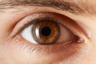 Around 70 crore people in India live with avoidable sight loss: Report