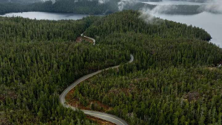This Vancouver Island town was named one of the top travel destinations in the world for 2026: Expedia