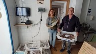 Mostra de la Llampuga 2025 | El pescador y cocinero, Joan Ramon Esteve: "De este pescado se aprovecha absolutamente todo"