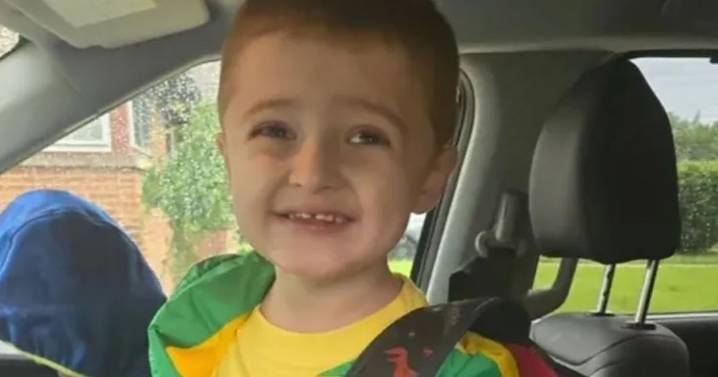 Toddler hacked to death in front of mum as she unloaded supermarket shopping