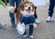 All bark, no bite, plenty of fun -- Spooky Pooch Parade returns to Lakewood: A Place in the Sun