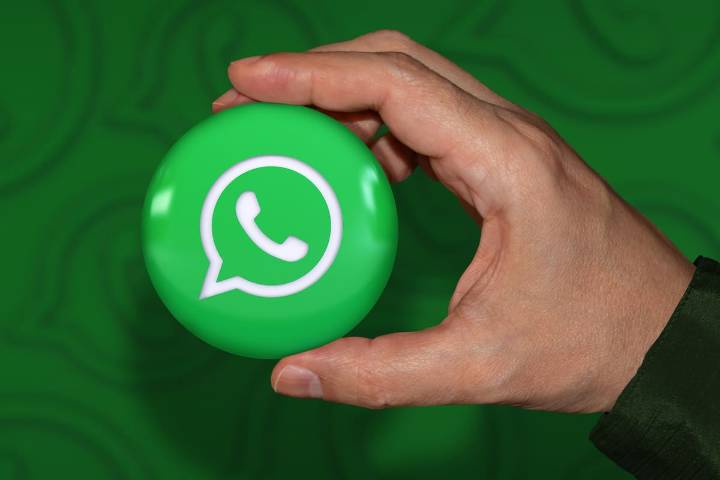 Archivos borrados. Así de fácil es encontrar la papelera de WhatsApp