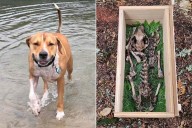 Man Discovers Dog's Bones in the Woods, Reunites Late Pet with Owners (Exclusive)