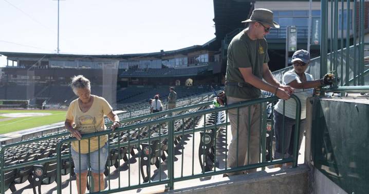 Getting started on Parkview Field's Holiday Lights display