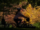 Montreal weather: Winter remains in sight, but is not yet upon us