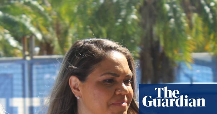 Jacinta Nampijinpa Price plotted with school principal to oust CEO of land council, court hears