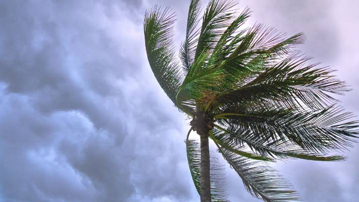 IMD issues yellow alert for city; thunderstorms and gusty winds expected
