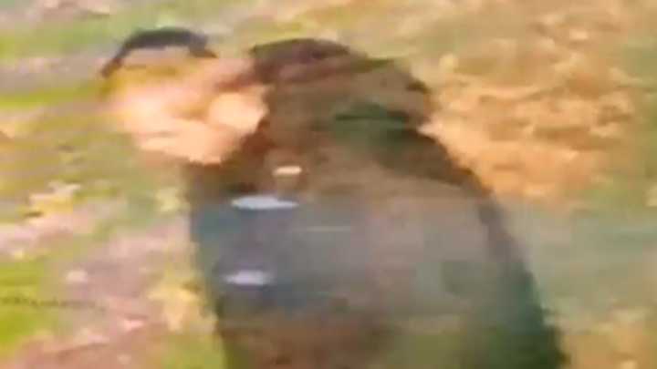 Woman raped in racially aggravated attack in Walsall, police say