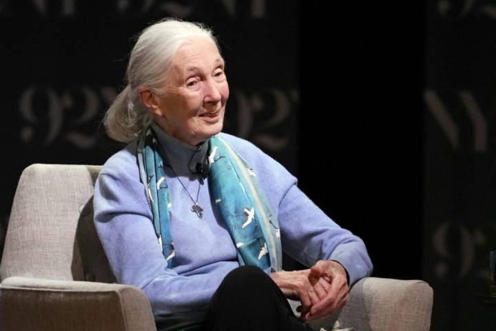 Jane Goodall, the gentle disrupter whose research on chimpanzees redefined what it meant to be human