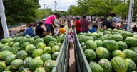 Watermelons, ditches and the Arkansas River tie Rocky Ford together