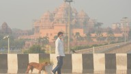 Pollution grips Delhi ahead of Diwali as some parts record air quality above 400