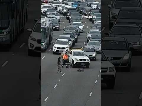 WATCH: Ducks cause major traffic jam on four