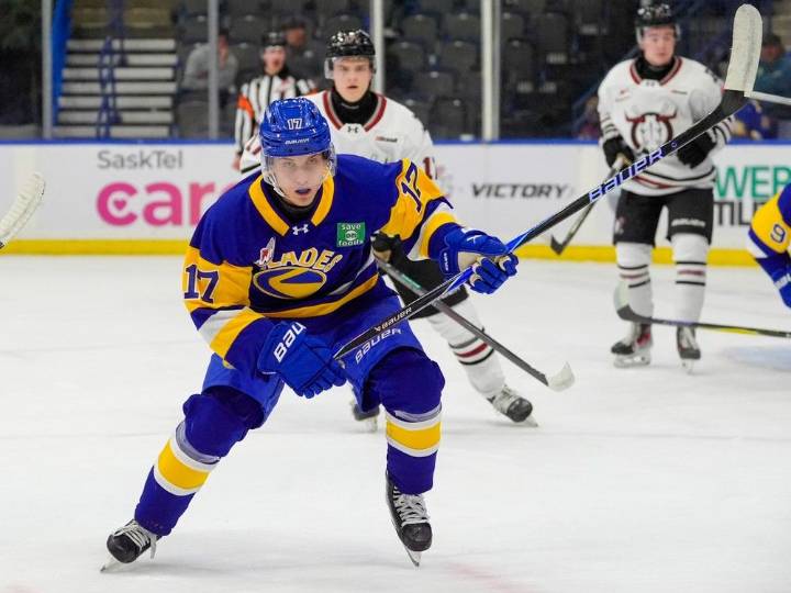 Saskatoon Blades import Willhoft a team