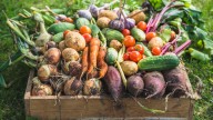 The Dollar Tree Solution That Keeps Root Vegetables Organized