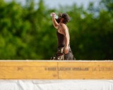 Syracuse ties heat record amid drought