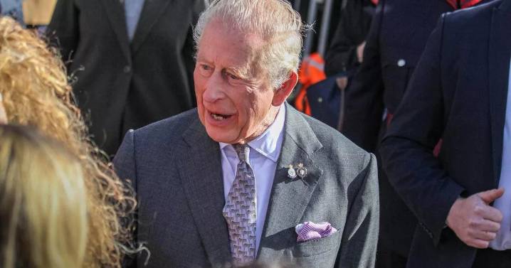Moment King Charles comes face-to-face with furious protestor over Prince Andrew