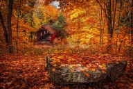 Top Autumn Stops in Georgia: Local Favorites Revealed