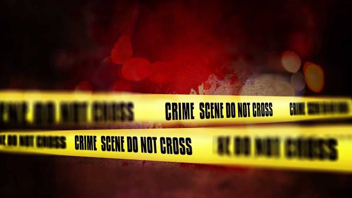 Man kills mother in Ranga Reddy for refusing alcohol money