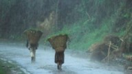 Arunachal: IMD warns of widespread rain, thunderstorms across the state