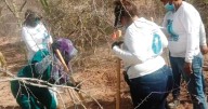 Hubo ajuste de cuentas en 60 cuerpos hallados en Sonora