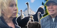 ‘Classic display of punishment’: Canada targets family ostrich farm for destruction