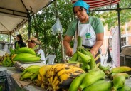 Vuelve la Feria Campesina al Parque La Factoría: productos frescos y sin intermediarios este sábado