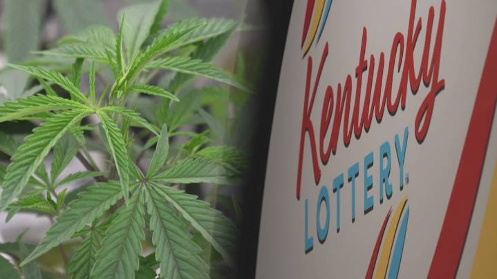 Louisville cannabis companies challenge Kentucky's dispensary licensing in court